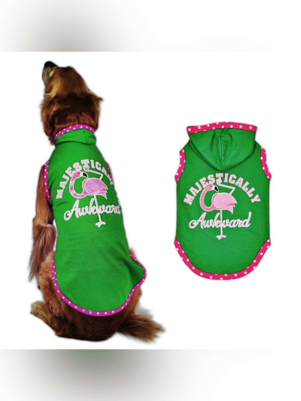 Vibrant Life Majestically Awkward Dog Hoodie - Picture 16 of 16